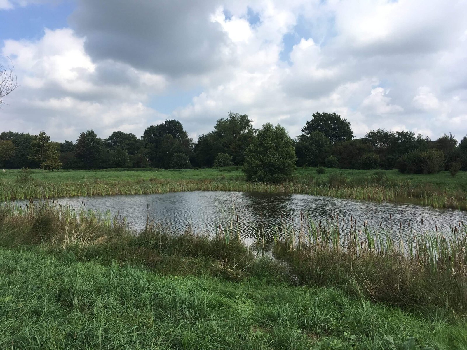 Klimaschutz & Mobilität